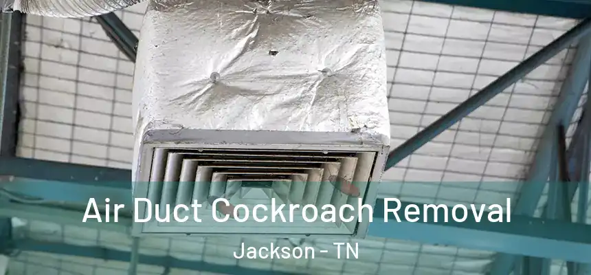 Air Duct Cockroach Removal Jackson - TN