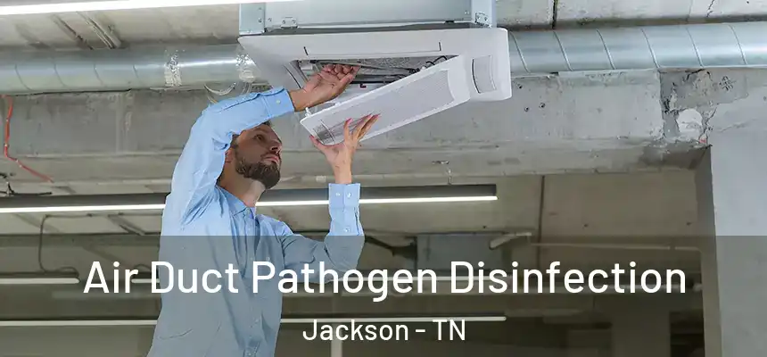  Air Duct Pathogen Disinfection Jackson - TN