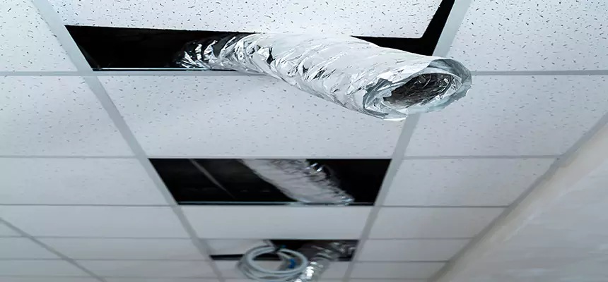 Our Air Duct Pet Hair Removal Services in Jackson, TN