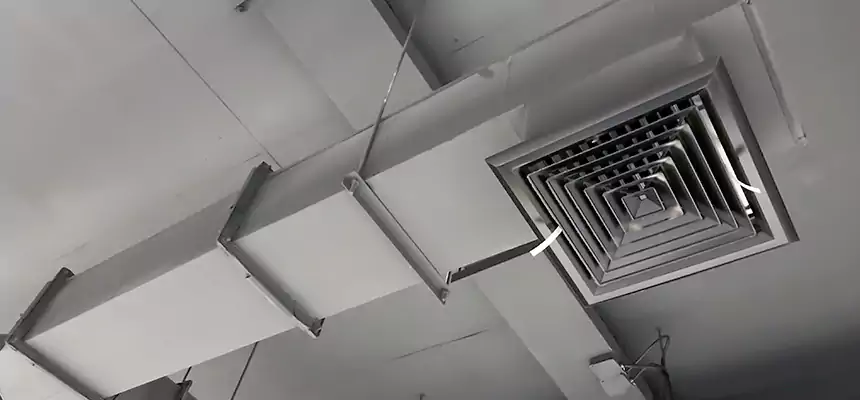 Our Rodent Droppings In Vents Services in Jackson, TN