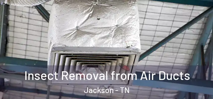  Insect Removal from Air Ducts Jackson - TN