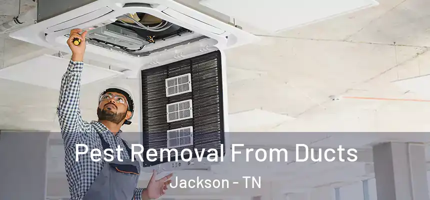  Pest Removal From Ducts Jackson - TN
