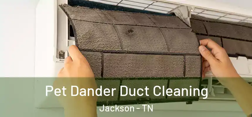 Pet Dander Duct Cleaning Jackson - TN