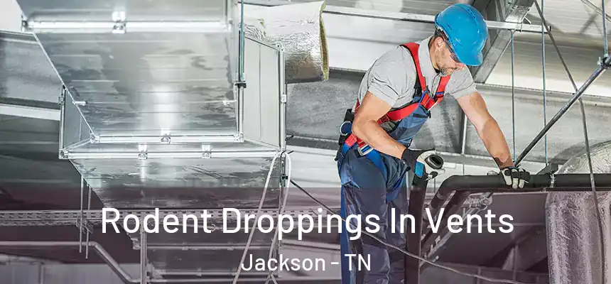  Rodent Droppings In Vents Jackson - TN