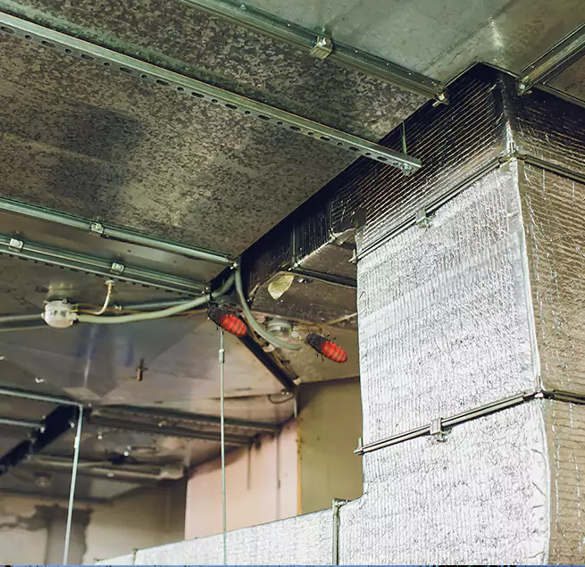 Why Homeowners & Businesses Trust Us in Jackson, TN?