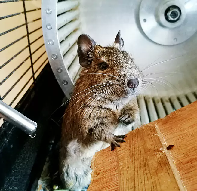 Why Homeowners & Businesses Trust Us Jackson, TN