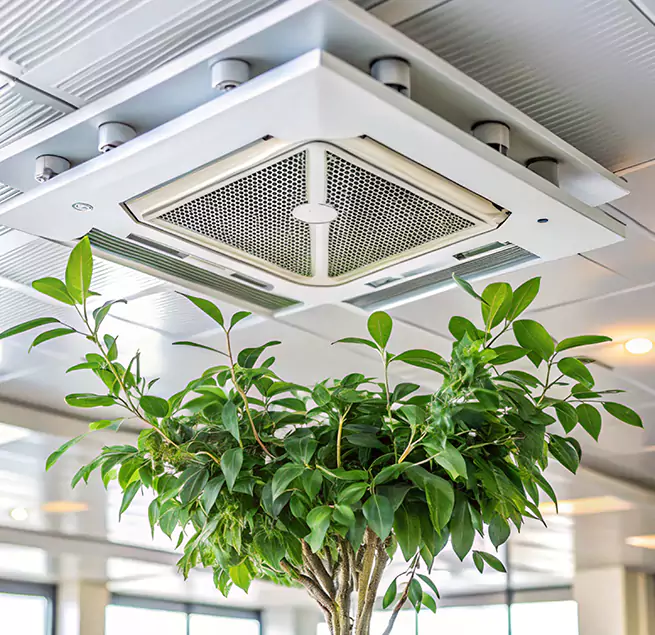 Why Homeowners & Businesses Trust Us in Jackson, TN?