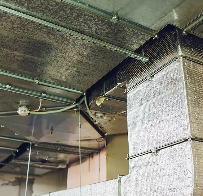 Why Homeowners & Businesses Trust Us in Jackson, TN?