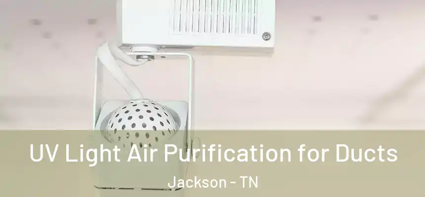  UV Light Air Purification for Ducts Jackson - TN